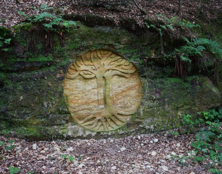 L'arboretum de la Hutte, Hennezel, France, France